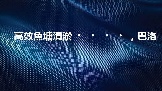 高效魚塘清淤，巴洛仕設(shè)備助力生態(tài)養(yǎng)殖